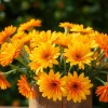 Arrange vibrant Orange County flowers in a rustic vase for a warm, inviting look.