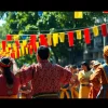 Celebrate diverse cultures through vibrant festival performances and traditional music.