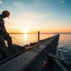 Performing bulkhead repair on a wooden structure at a tranquil waterfront.