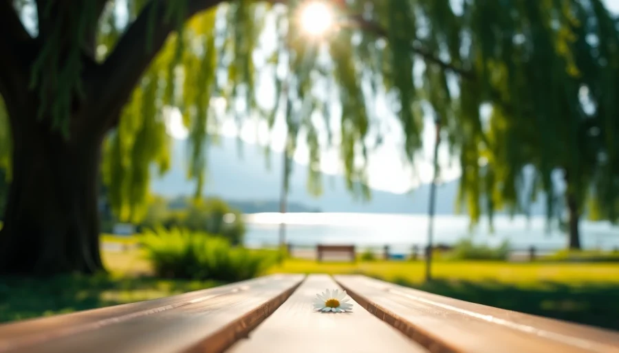 Place a daisy on a bench symbolizing dealing with grief and offering solace in nature.