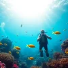 Diving in San Pedro Belize, where divers discover vibrant coral reefs teeming with tropical fish.