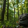 Showcase of a camouflage hunting backpack with detailed compartments against a vibrant forest backdrop.