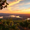Scenic view showcasing vineyards in Clarksburg CA with the Sacramento River and sunset.