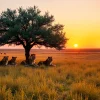 Tanzania safari scene showcasing lions under an acacia tree during a dramatic sunset.